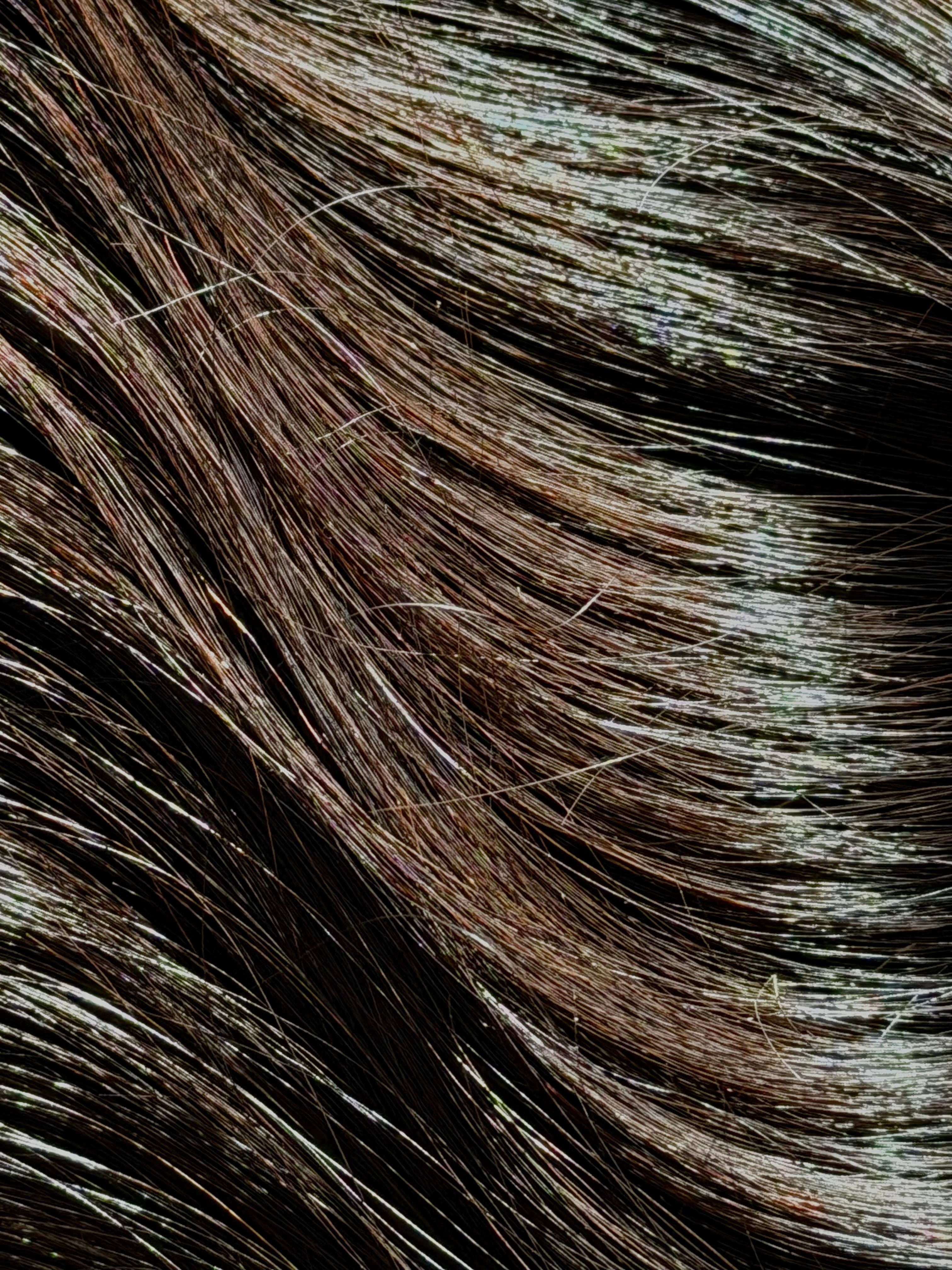 Signature Wave - Natural Wavy